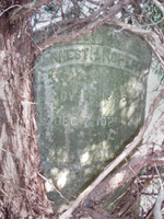 Ernest Hastings Roper